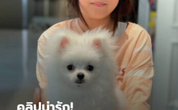 คลิปน่ารัก “น้องมายู” กับเพื่อนรักประจำบ้าน แคปชั่นแม่ “ไม่รู้ใครติดใครมากกว่ากัน?”