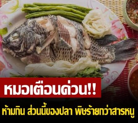 หนุ่มโคม่าหลัง “กินปลา” หลายอวัยวะล้มเหลว หมอเตือนส่วนที่ “ห้ามกิน” พิษยิ่งกว่าสารหนู!