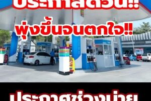 พุ่งขึ้นจนตกใจ!! ประกาศช่วงบ่าย ราคาน้ำมันวันนี้ 4 เม.ย. 69…ดูเพิ่มเติม!!